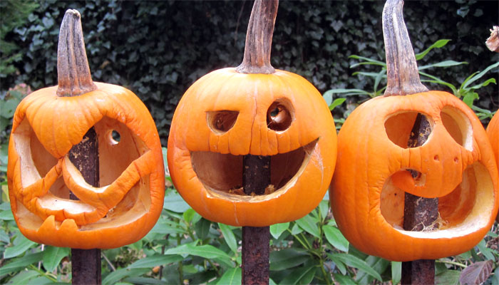 fence with pumpkin heads